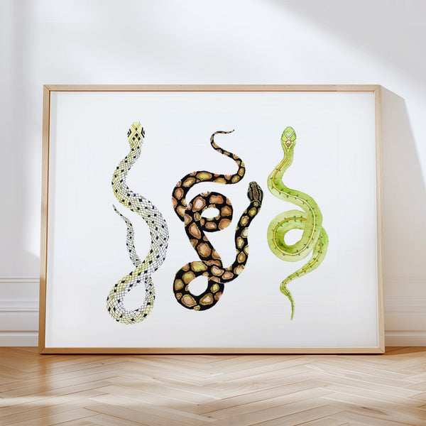 Snakes3Primary_44d89c73-be55-