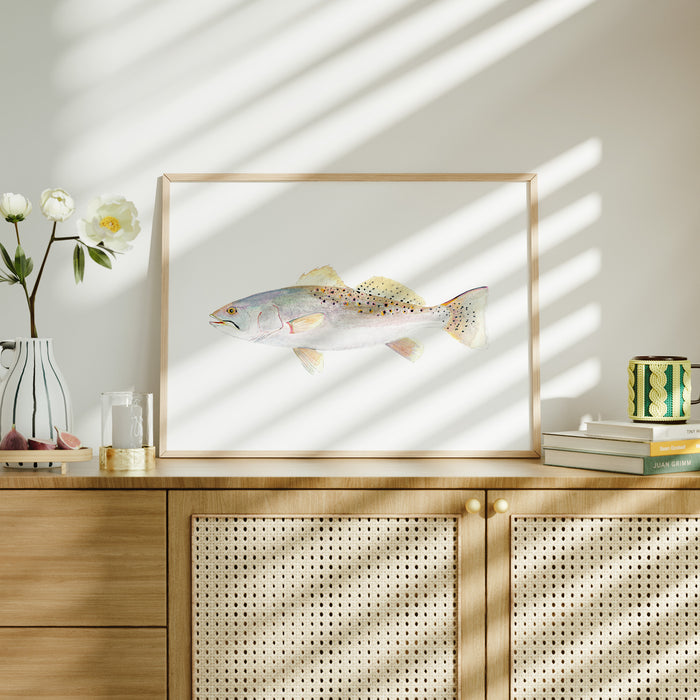 Speckled Trout