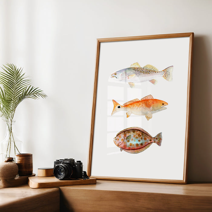 Texas Grand Slam - 3 Fish Art Print