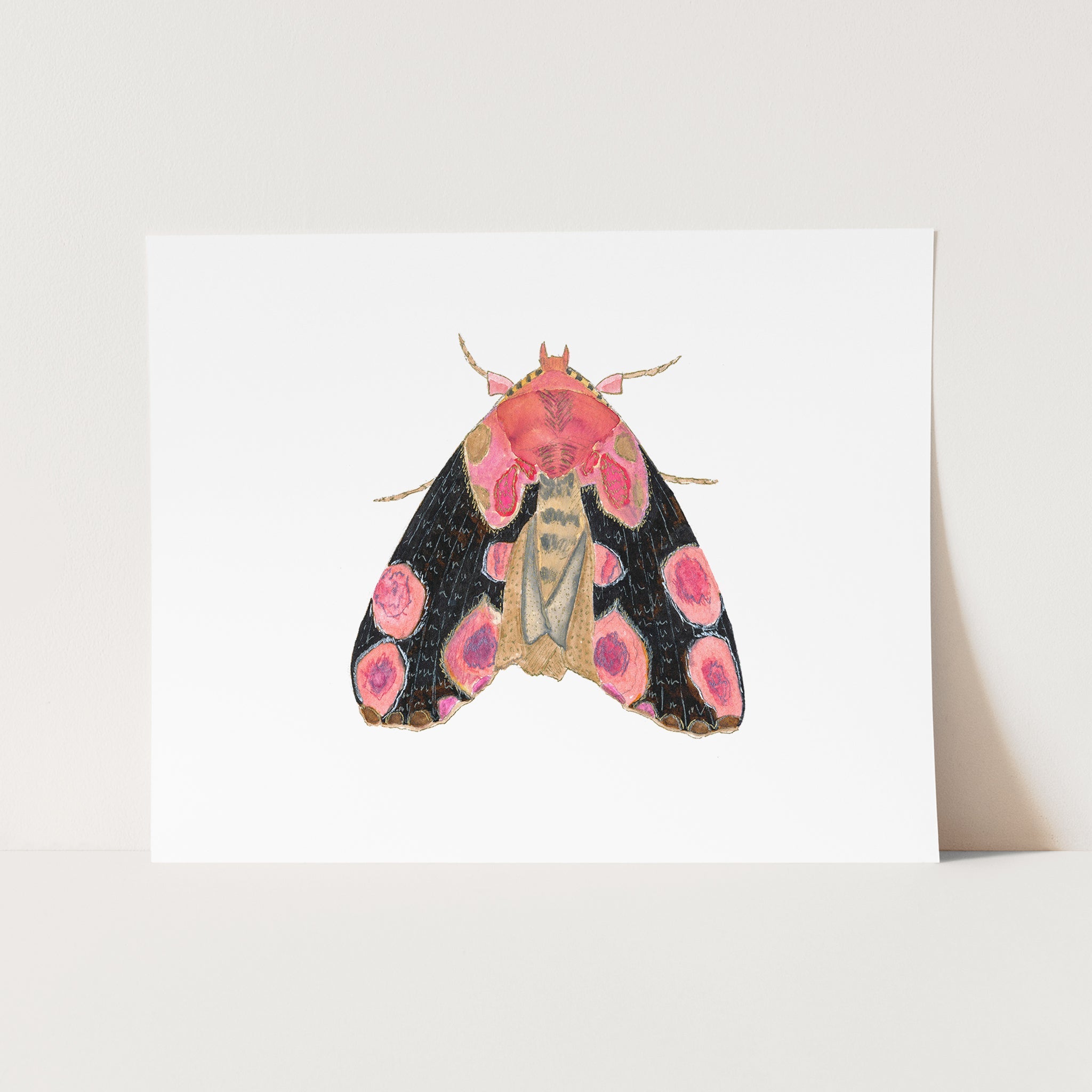 a pink and black moth on a white card