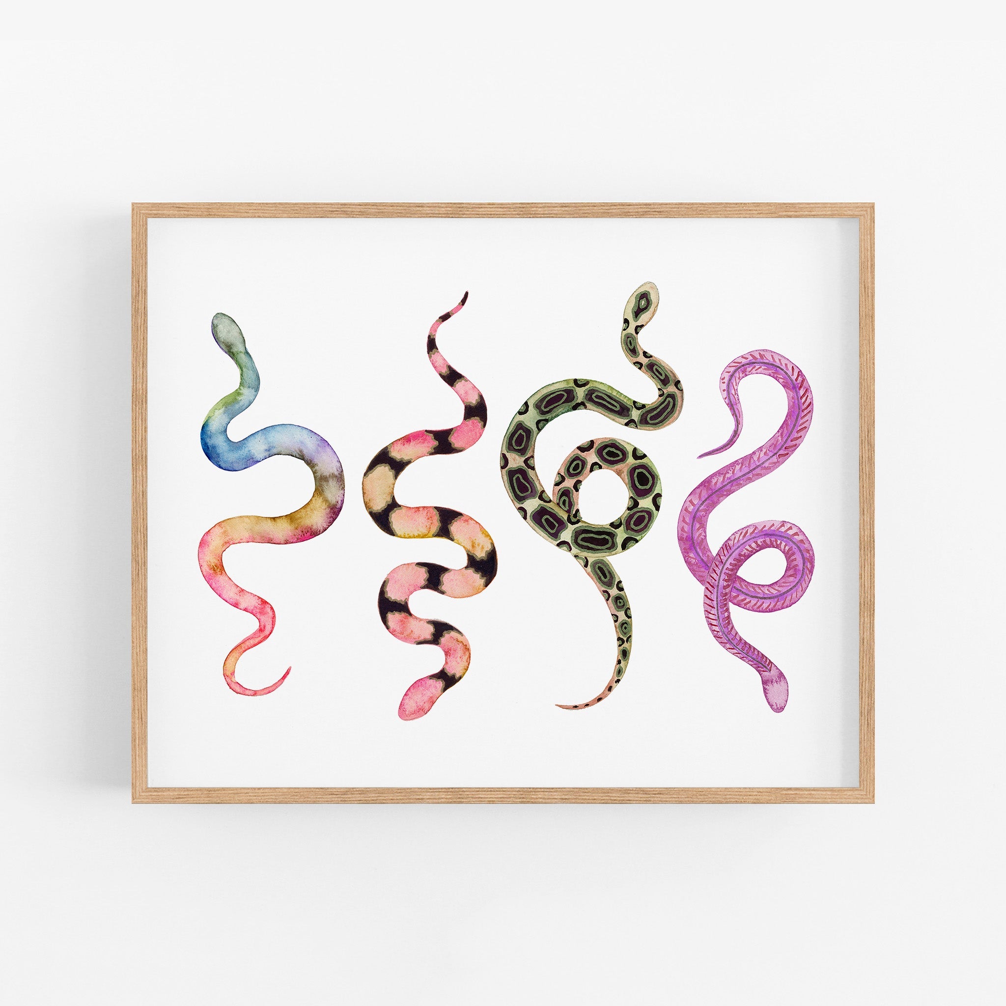 a picture of a snake on a white background