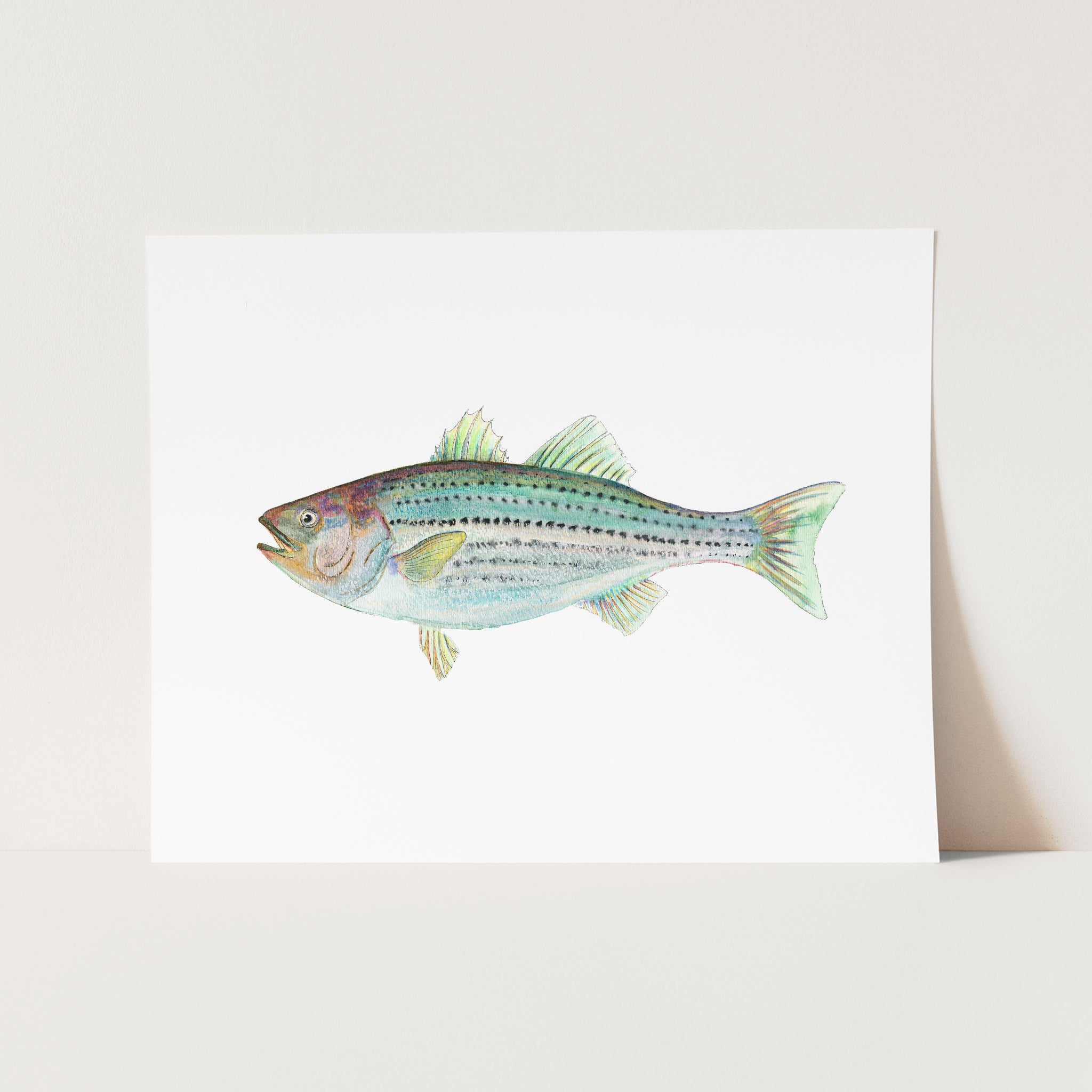 a painting of a fish on a white background