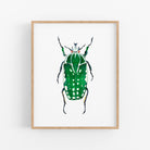 a picture of a green bug on a white wall