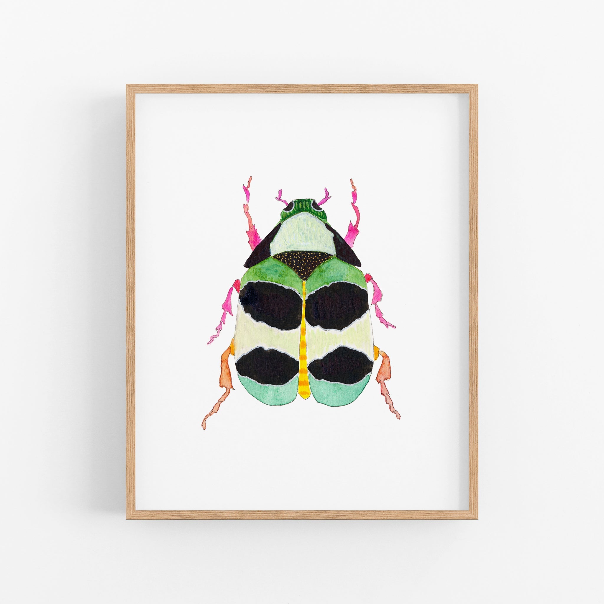 a picture of a bug on a white wall