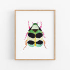 a picture of a bug on a white wall