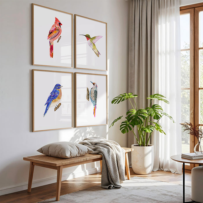 Birds of New England - Set of 4 Art Prints
