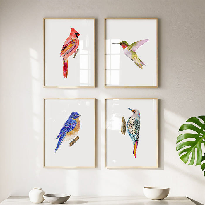 Birds of New England - Set of 4 Art Prints