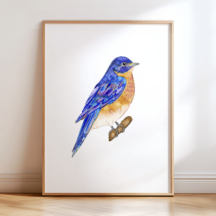 Birds of New England - Set of 4 Art Prints