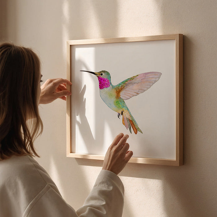 Broad-Tailed Hummingbird