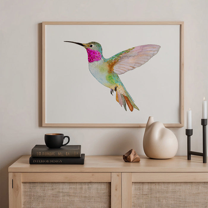 Broad-Tailed Hummingbird