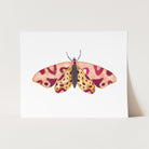 a card with a picture of a butterfly on it