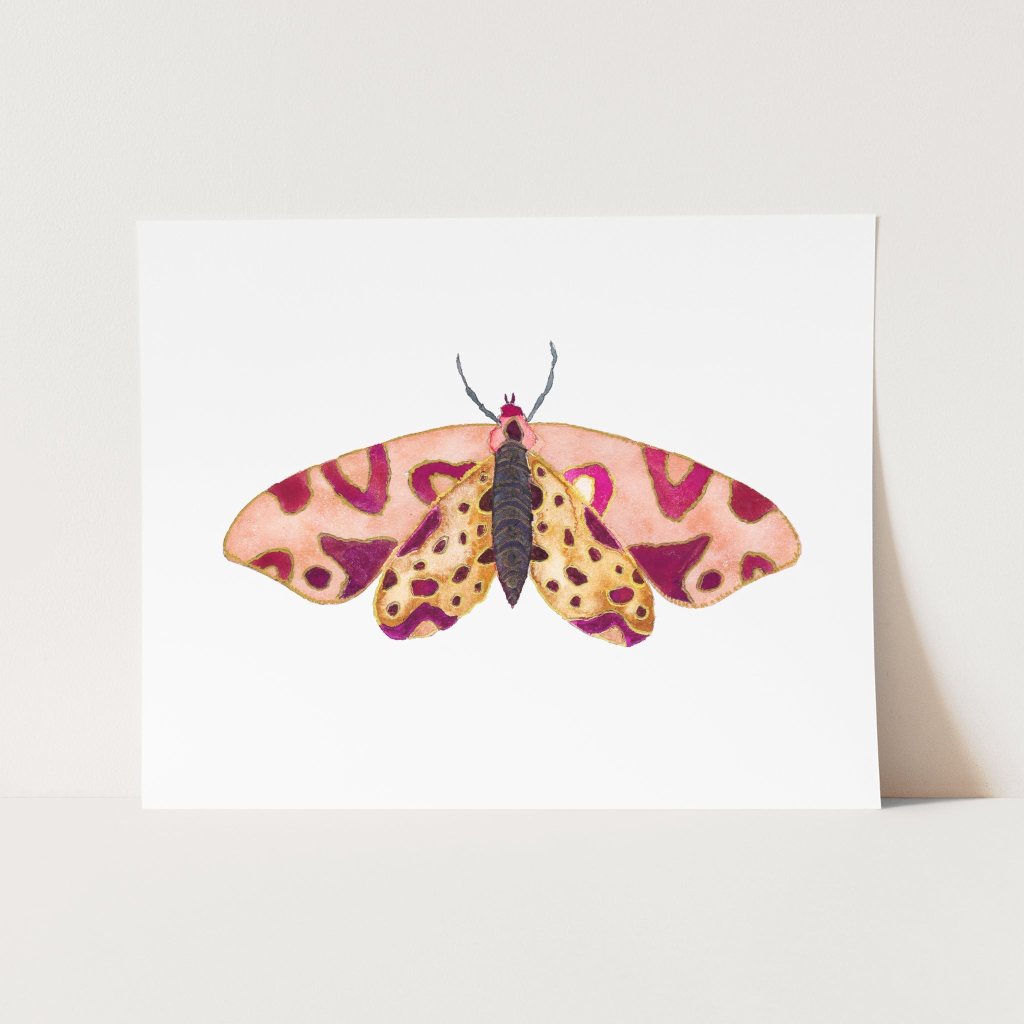 a card with a picture of a butterfly on it