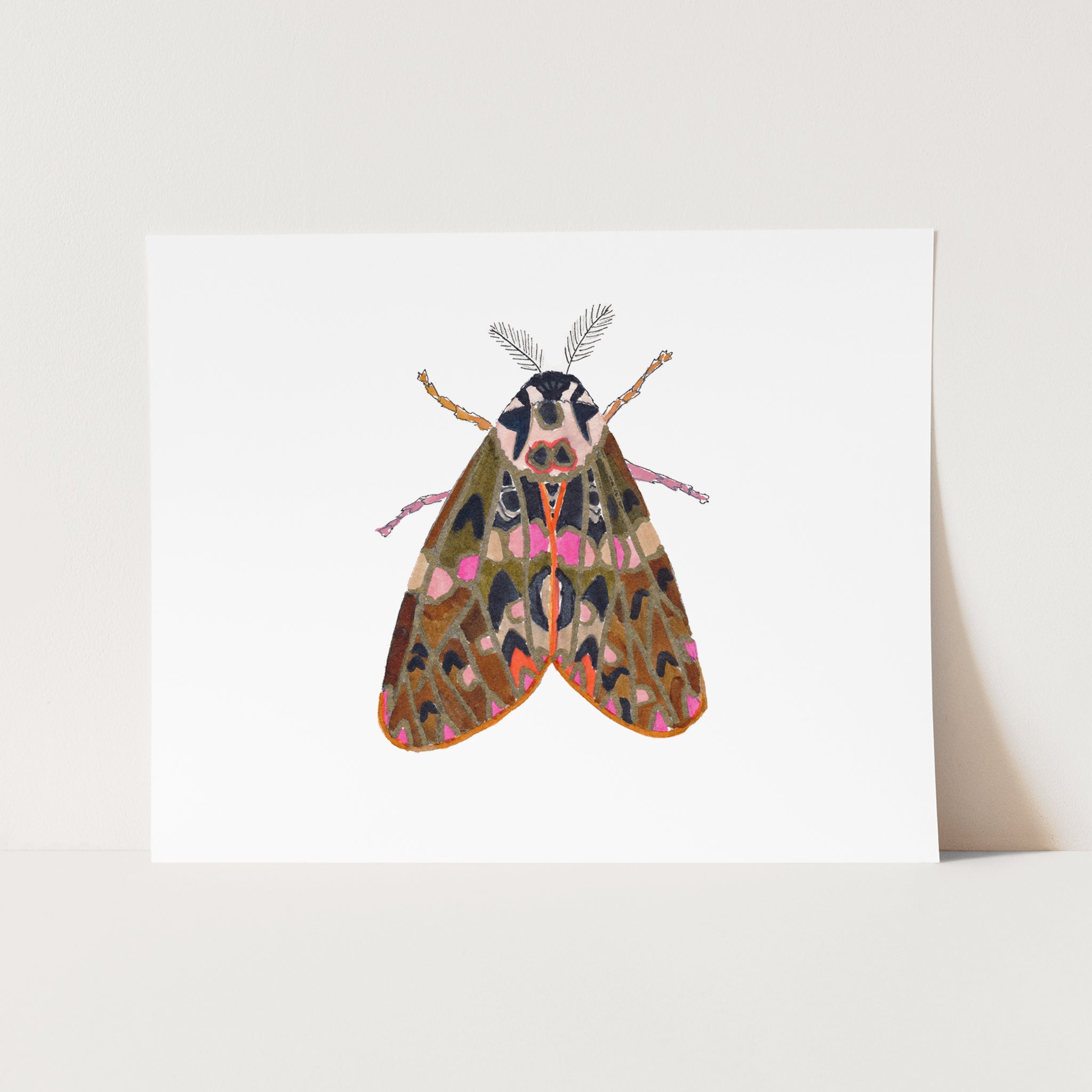 a card with a picture of a moth on it