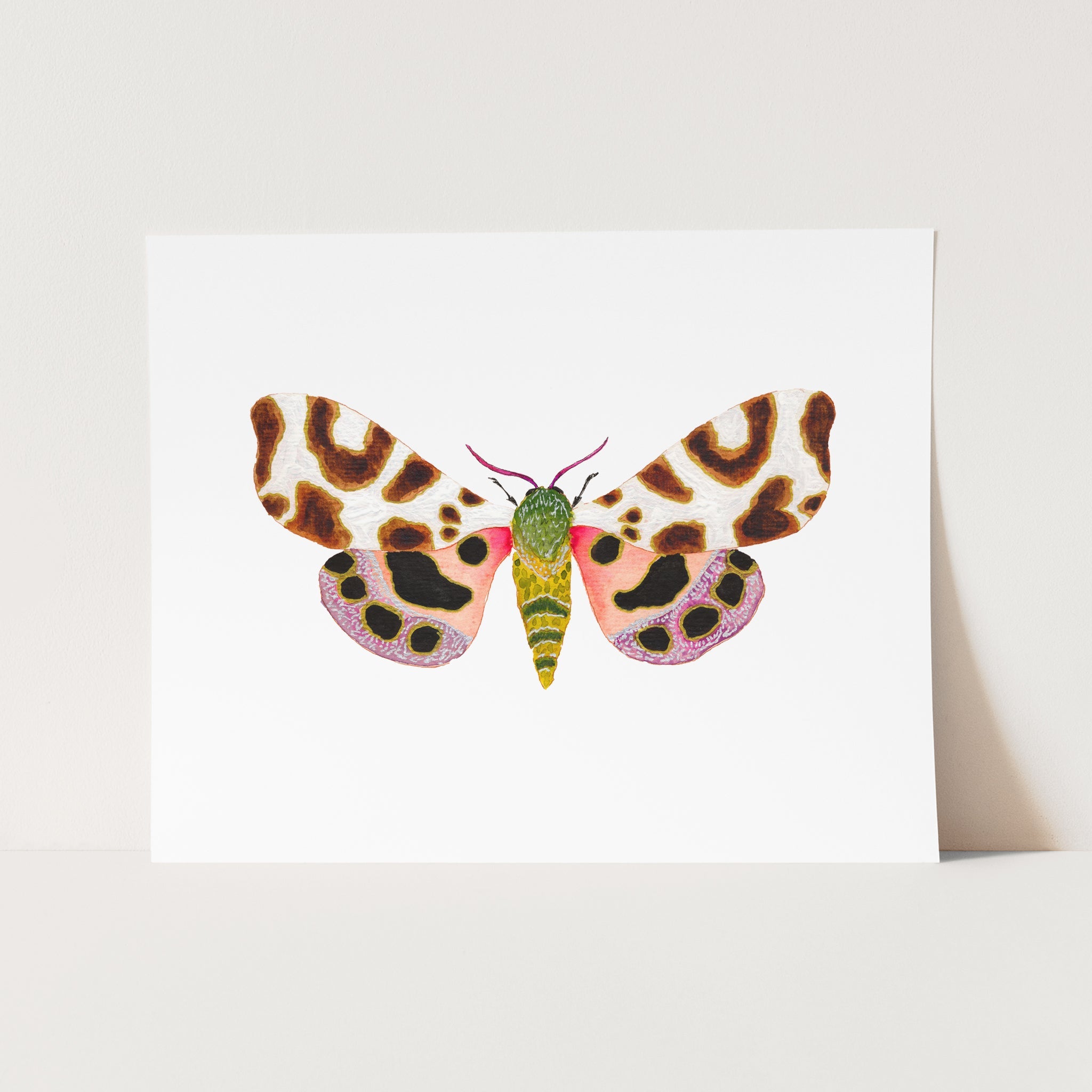 a card with a picture of a butterfly on it