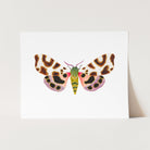 a card with a picture of a butterfly on it