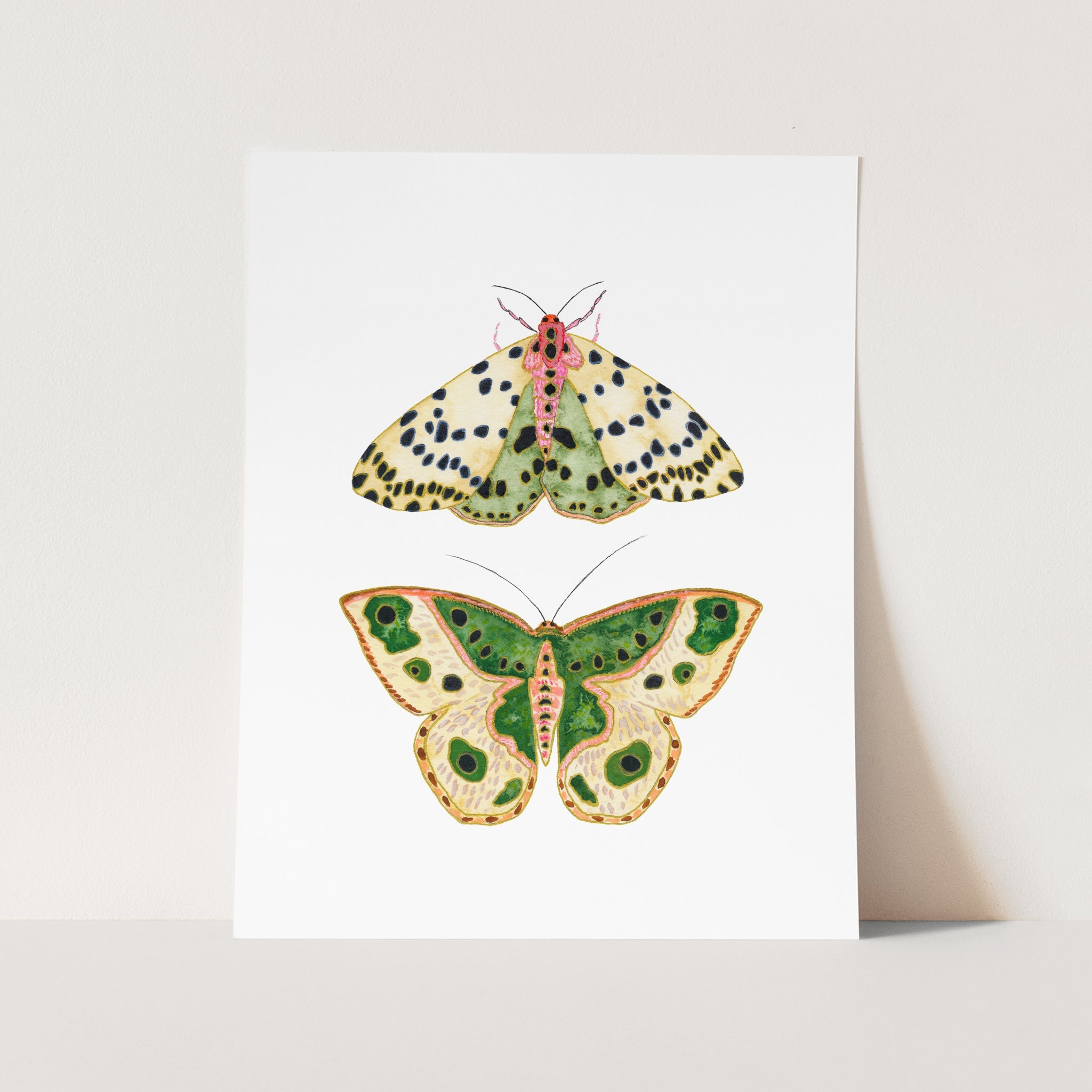 a picture of two butterflies on a white background