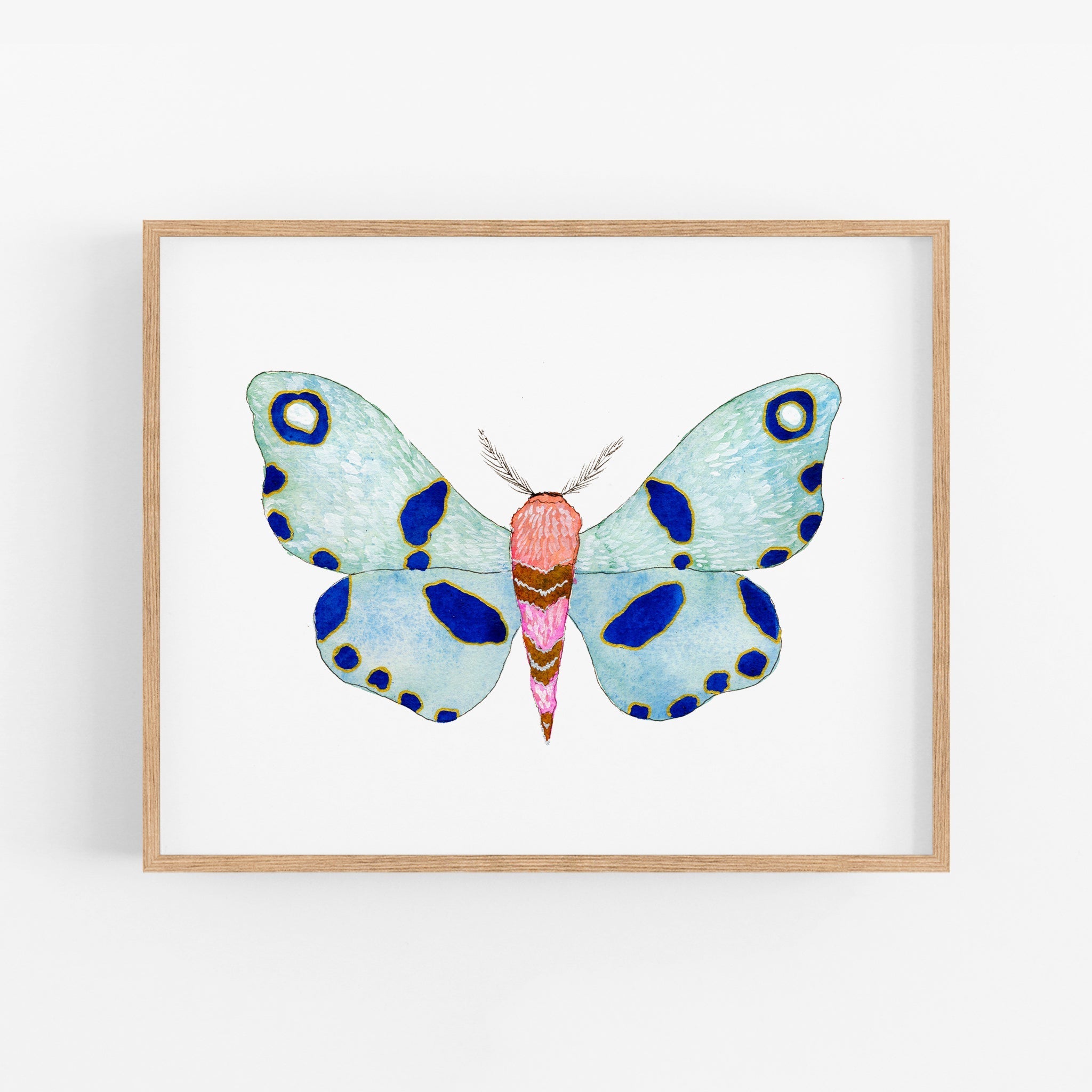 a picture of a blue and pink butterfly on a white background