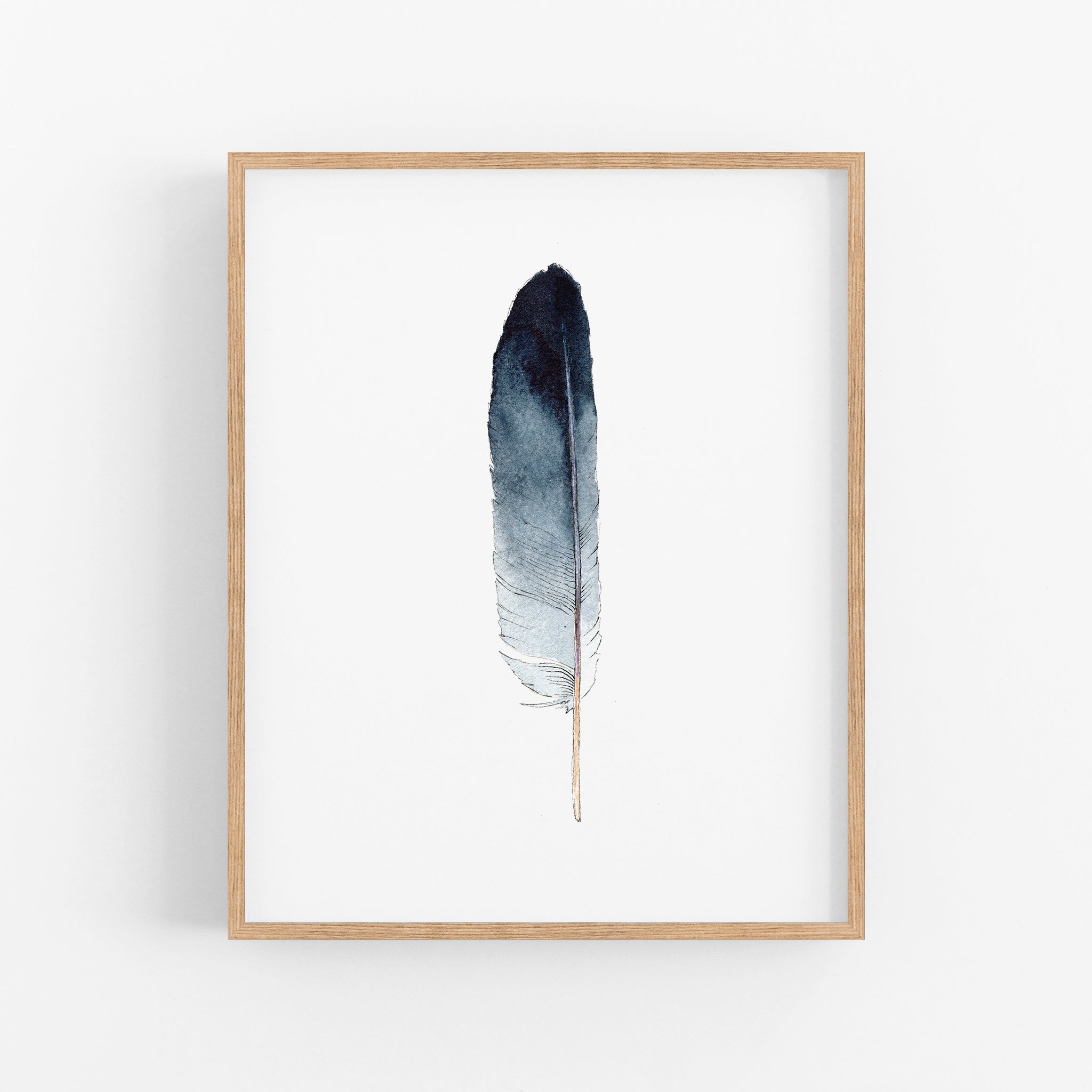 a black and white feather on a white background