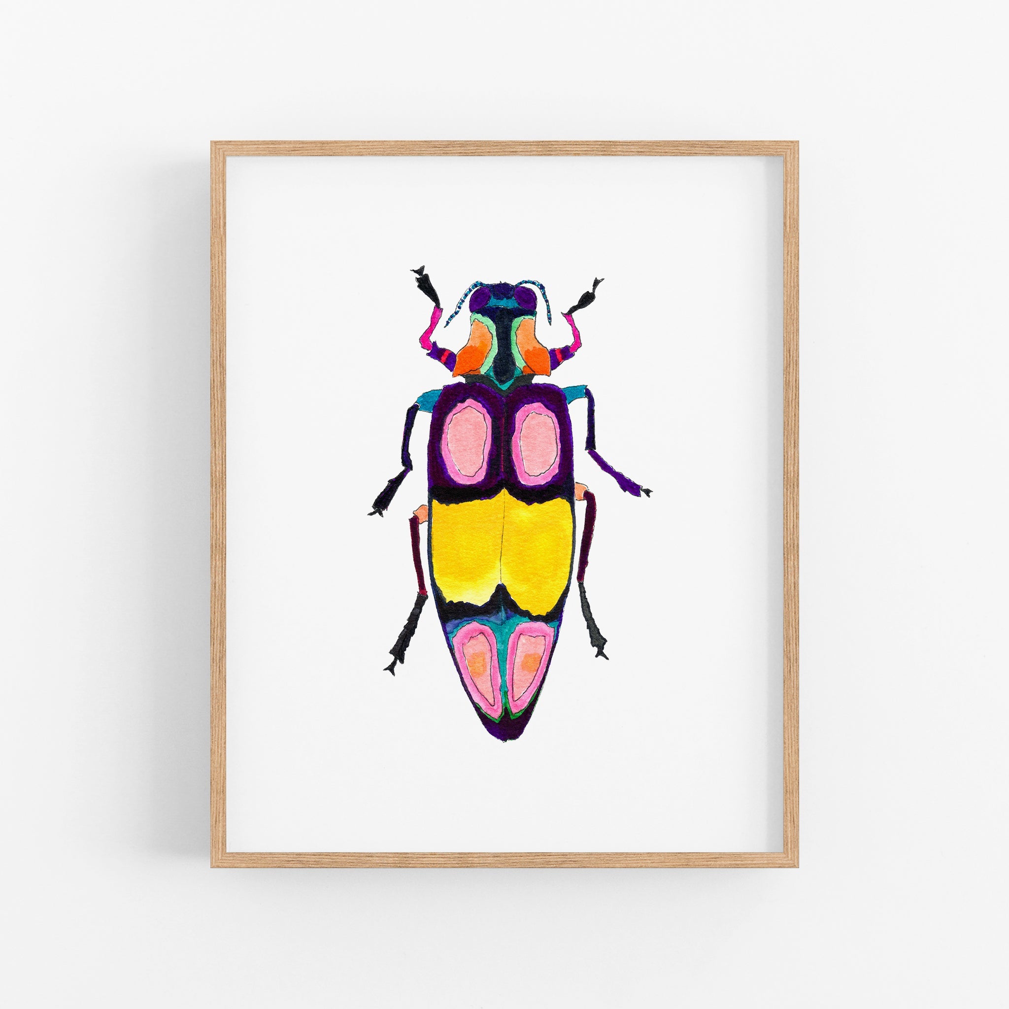 a picture of a colorful beetle on a white background