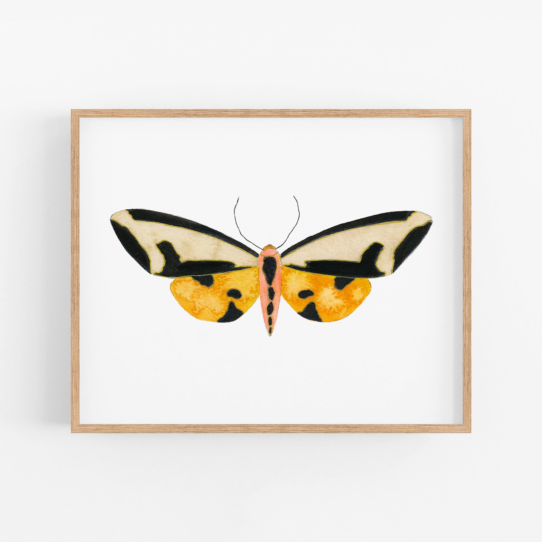 a yellow and black butterfly on a white background