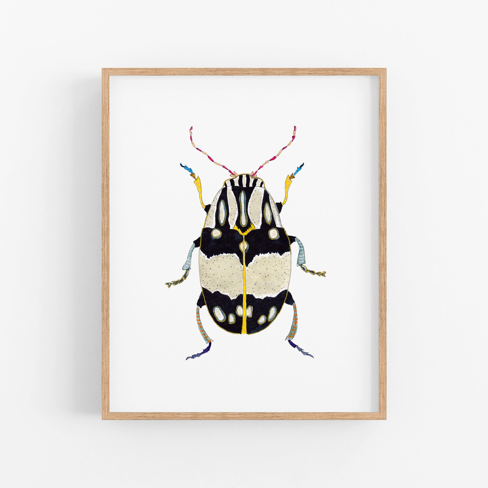 a framed picture of a beetle on a white wall