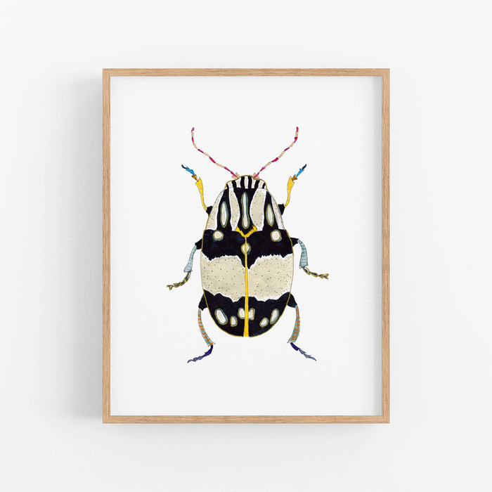 a framed picture of a beetle on a white wall