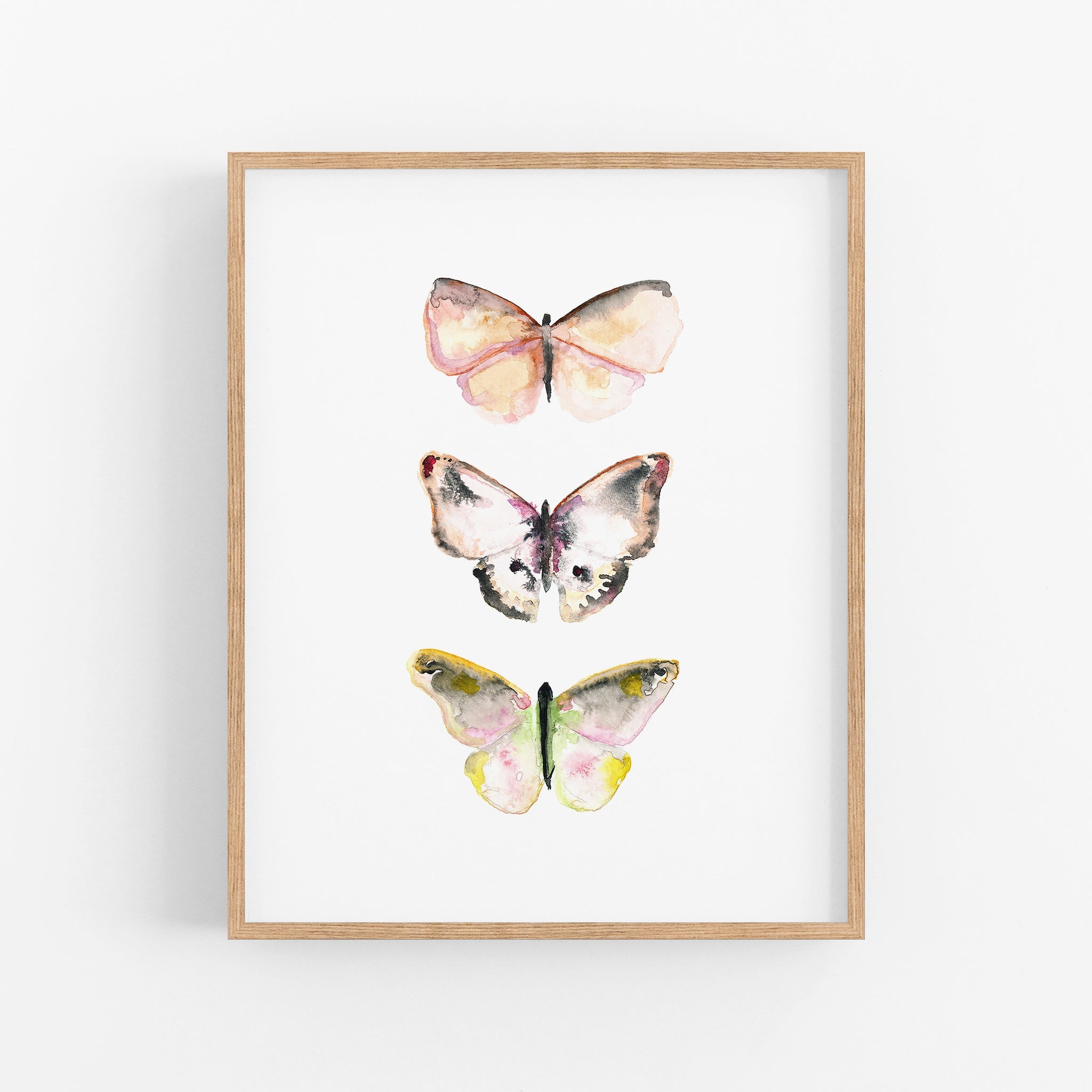 a picture of three butterflies on a white background