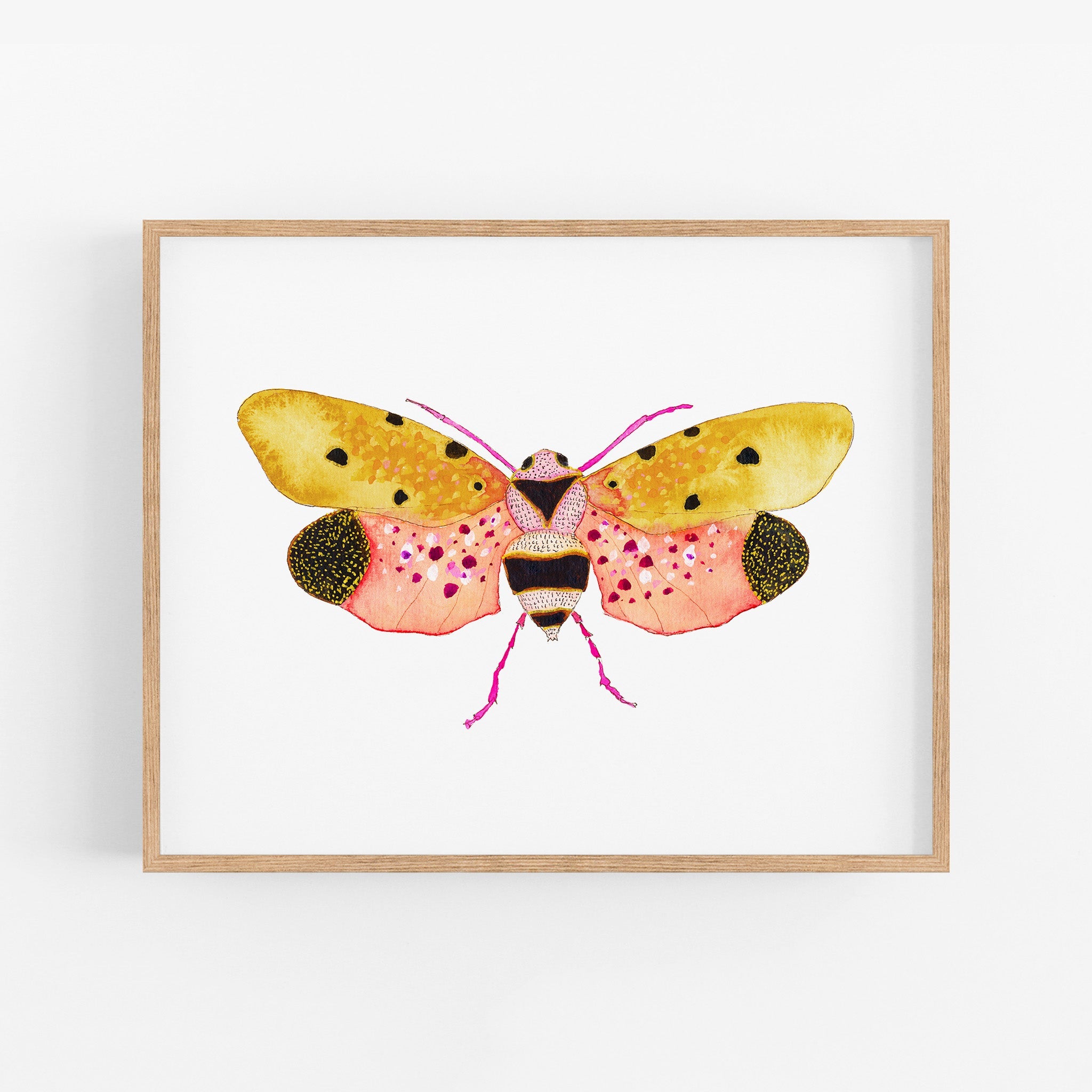 a painting of a butterfly on a white background