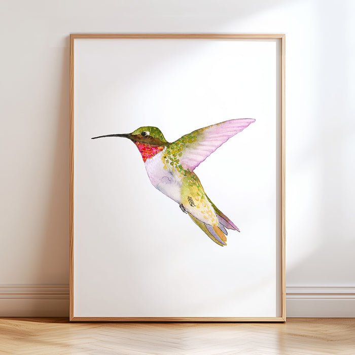 Ruby-Throated Hummingbird (Vertical Orientation)