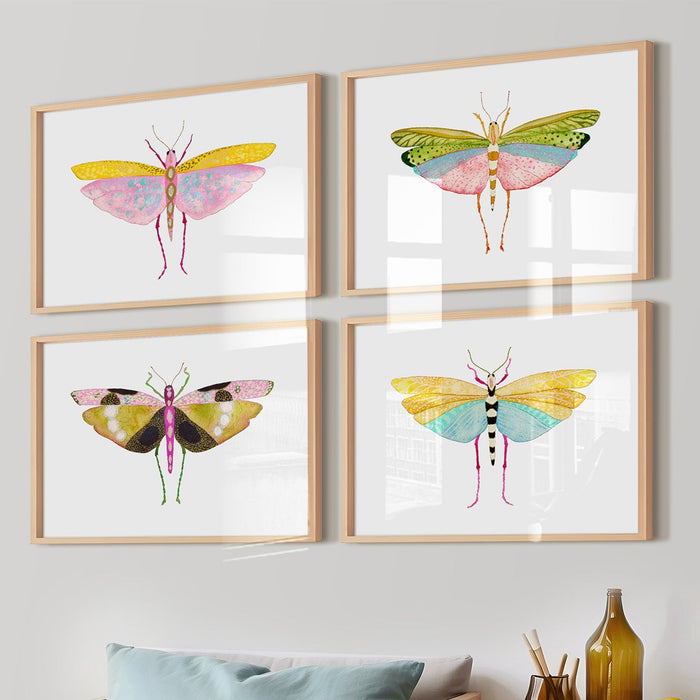 Four framed illustrations of colorful grasshoppers on a wall above a wooden chair with a blue pillow.