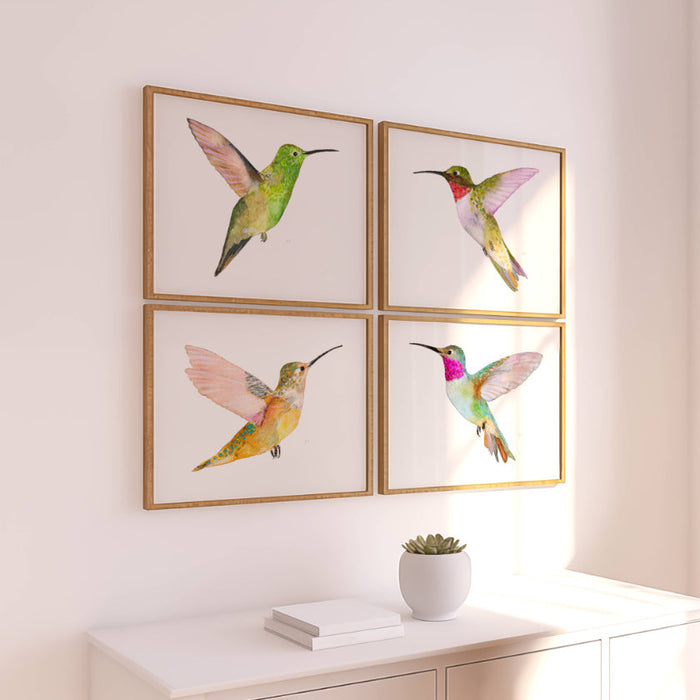 Hummingbirds ~ Print Set of 2
