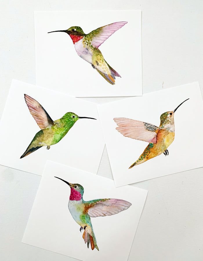 Broad-Tailed Hummingbird