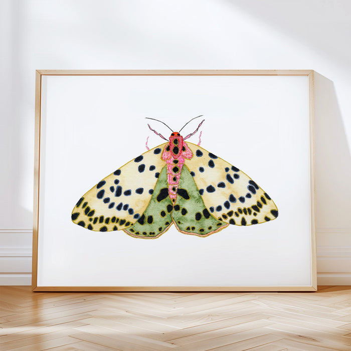 Moths To A Flame ~ Set of 4