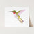 Hummingbirds Unite! ~ Set of 4