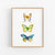 a picture of three butterflies on a white background