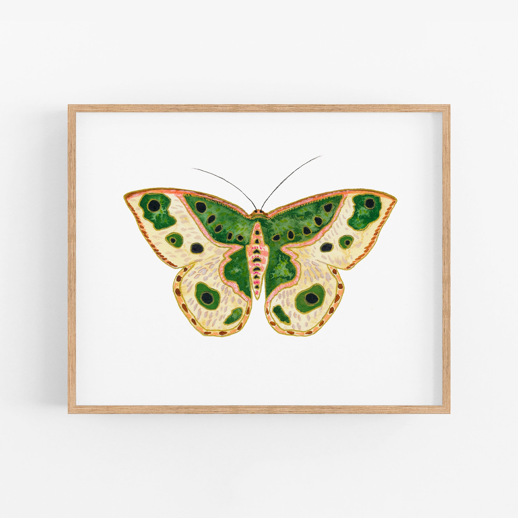 a green and yellow butterfly on a white background