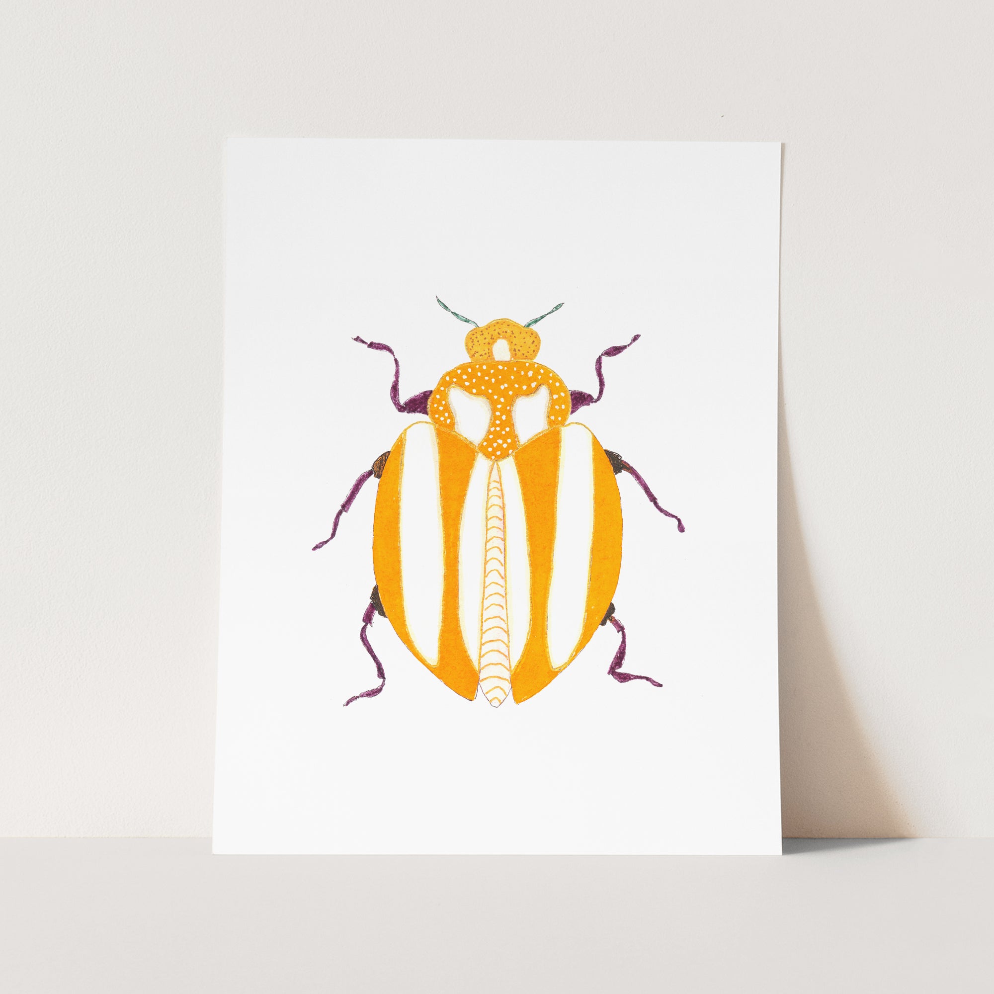 a card with a picture of a beetle on it
