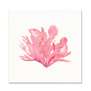 Pink Coral No. 3