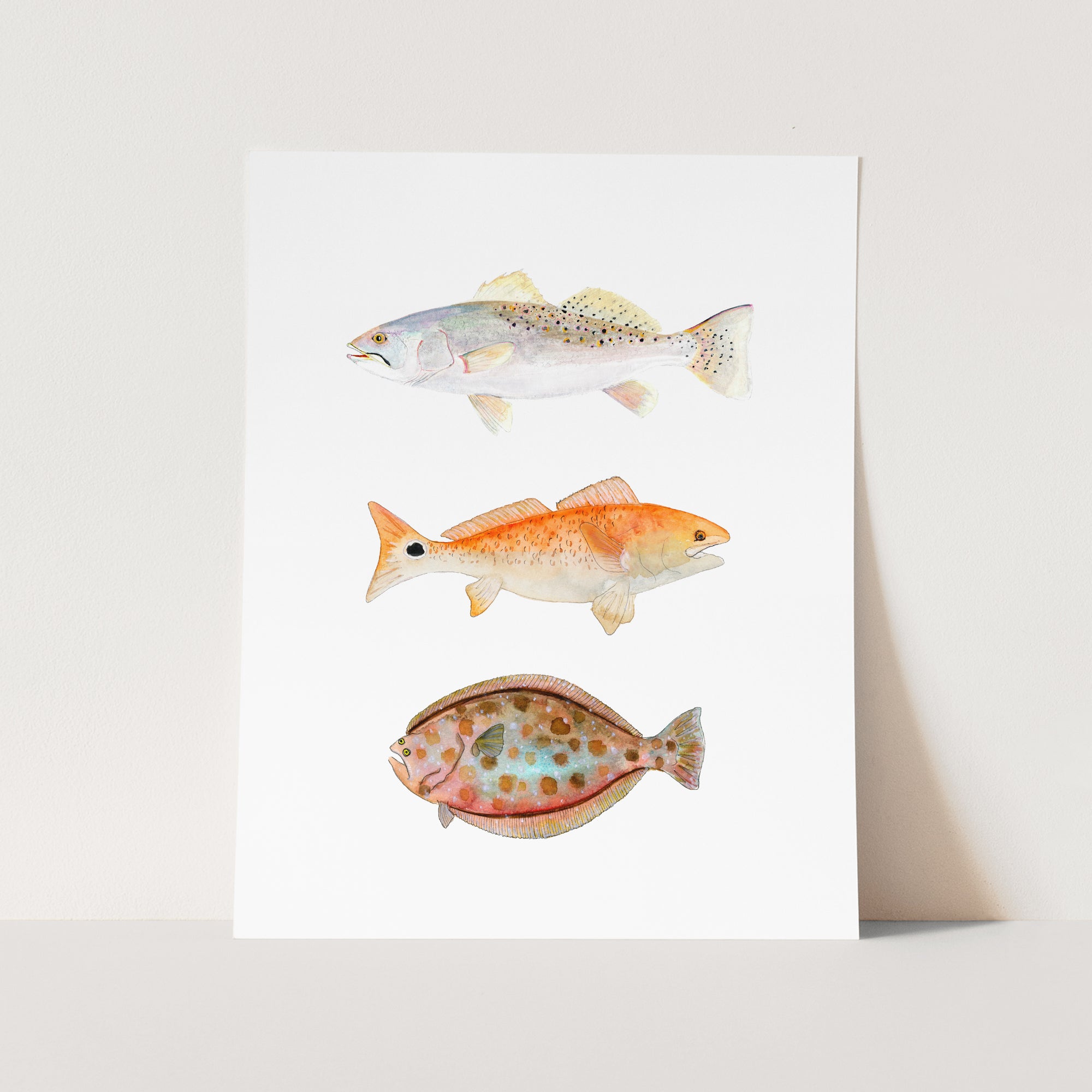a card with three different types of fish on it