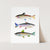 a card with three fish painted on it