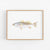 a painting of a fish on a white wall