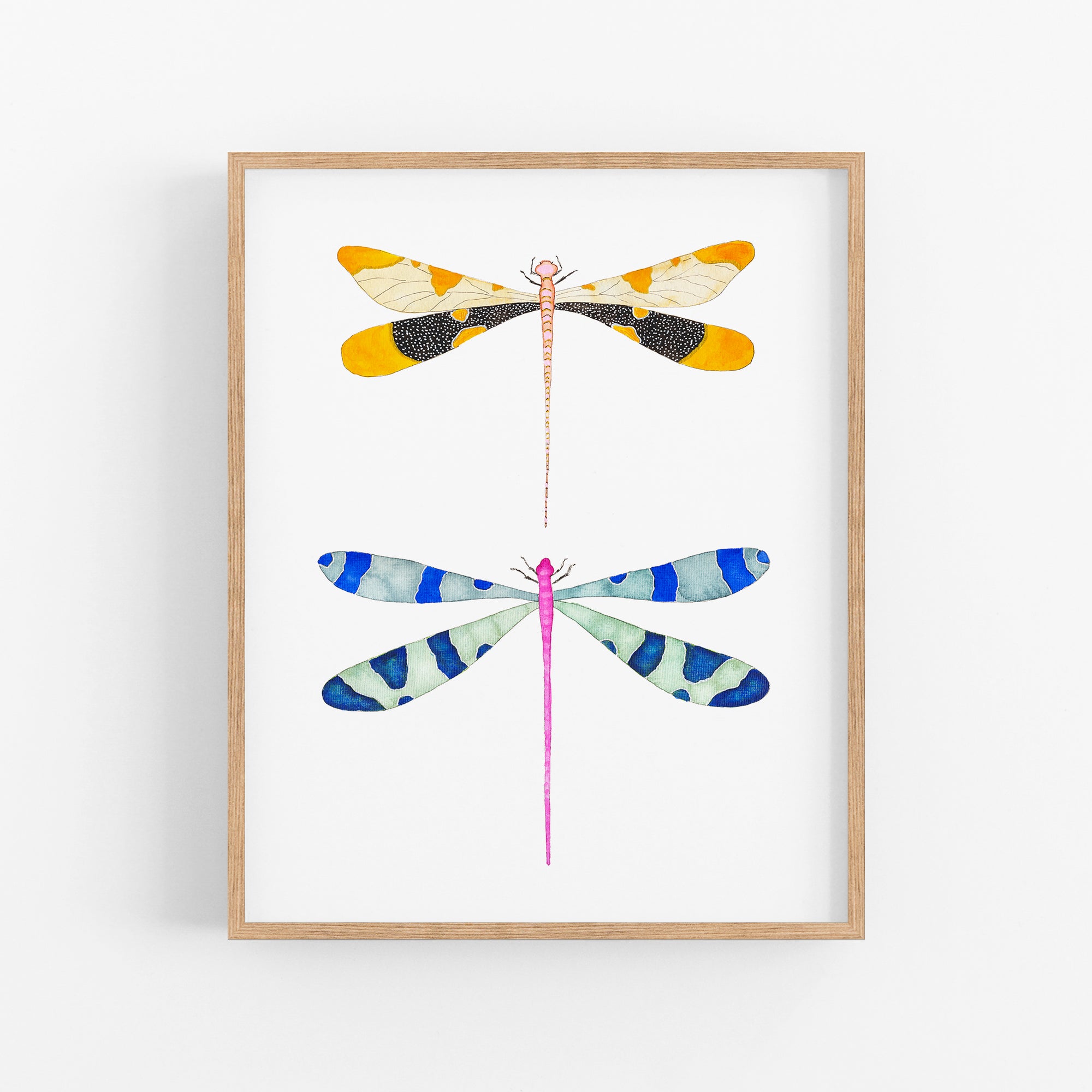 a picture of three dragonflies on a white background