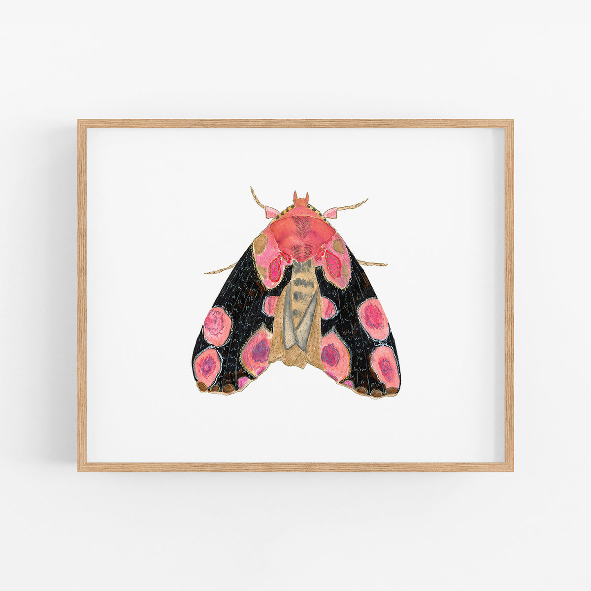a picture of a pink and black moth on a white background