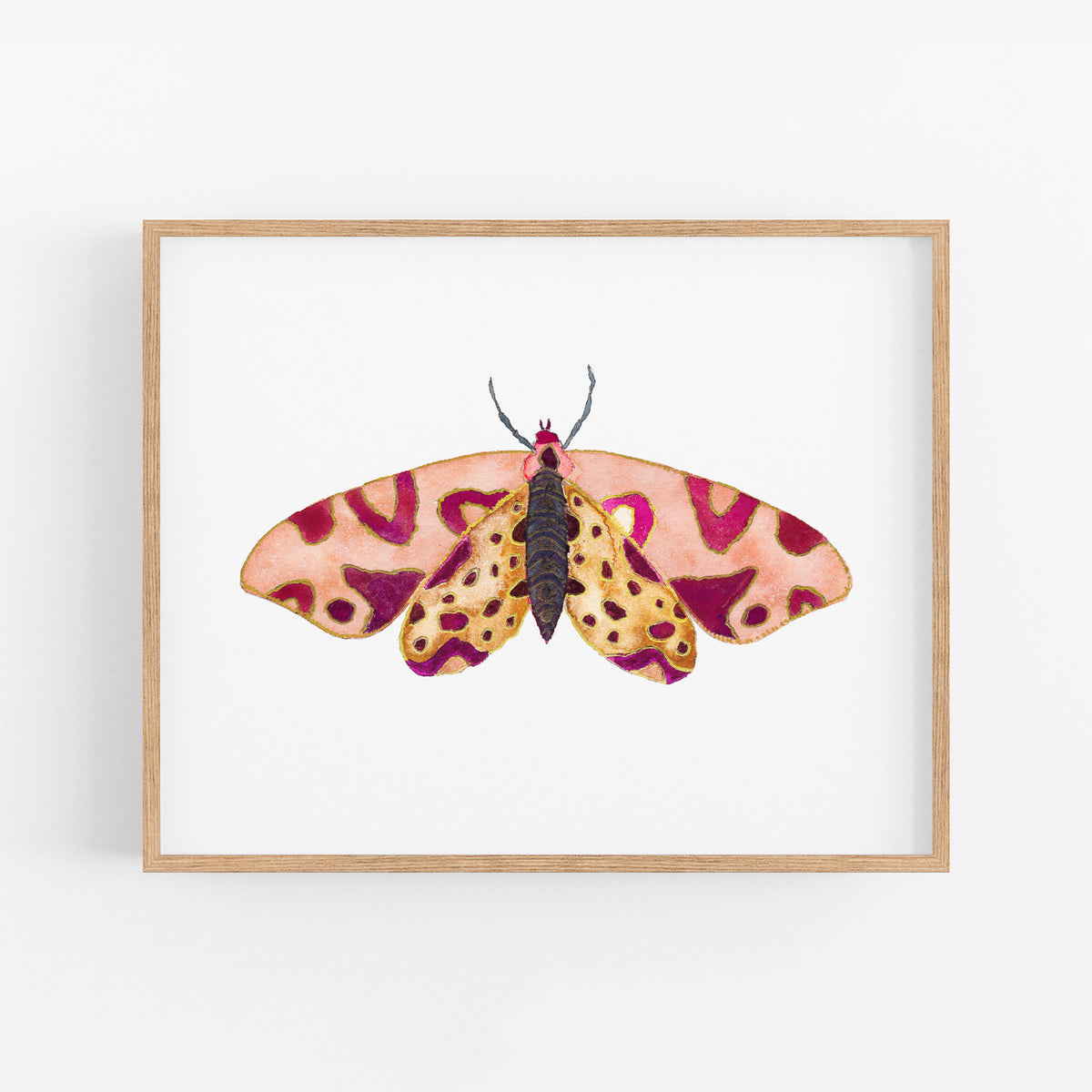 a painting of a butterfly on a white background