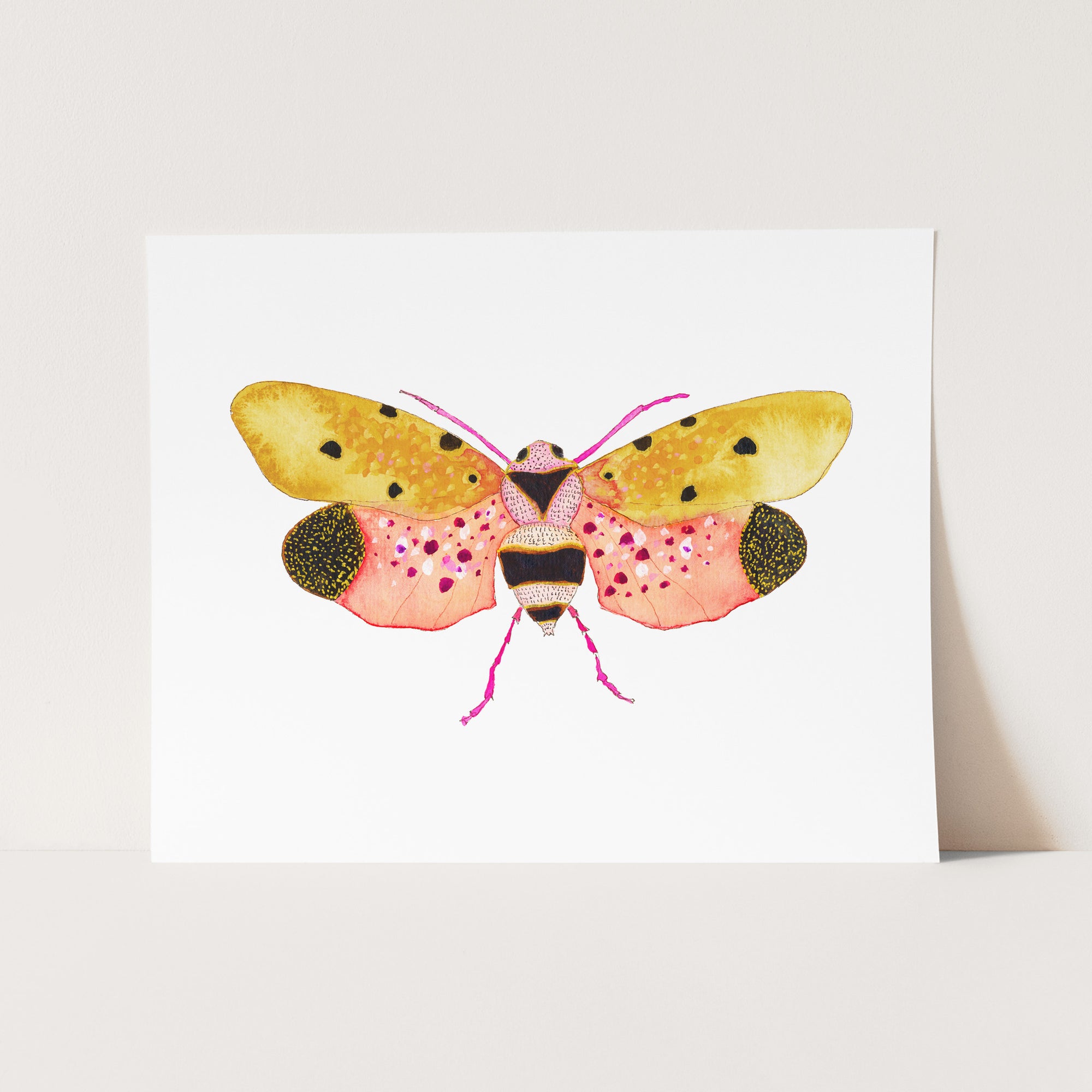 a card with a picture of a butterfly on it