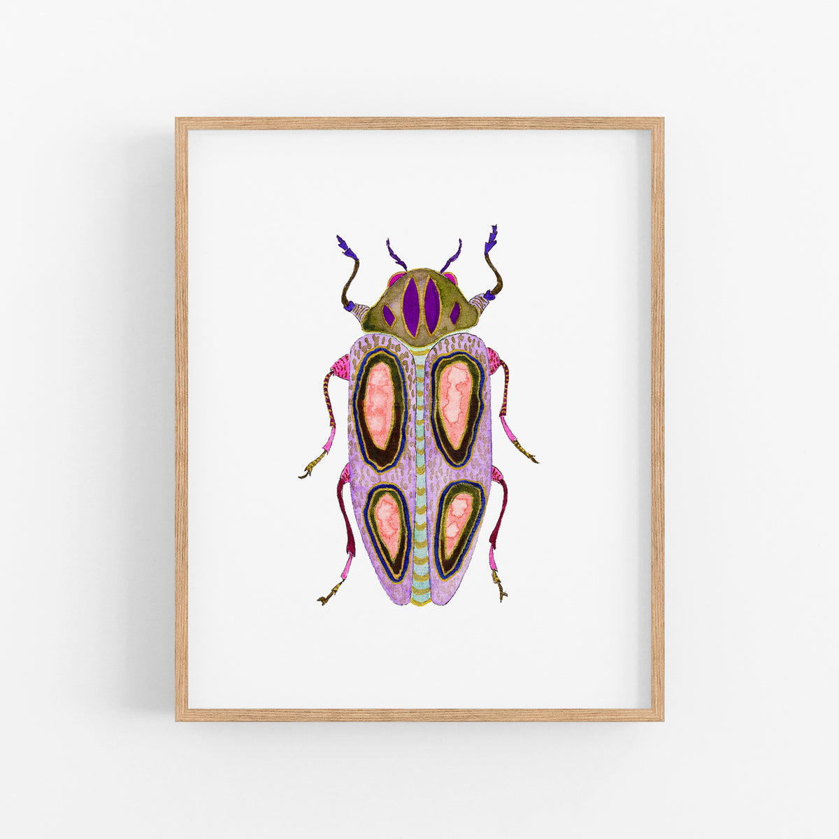 a picture of a bug on a white background