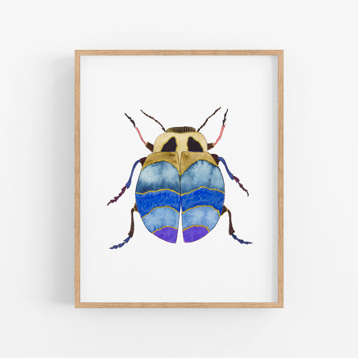a blue and yellow bug on a white background