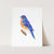 a blue bird sitting on top of a piece of paper