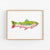 a painting of a rainbow colored fish on a white background