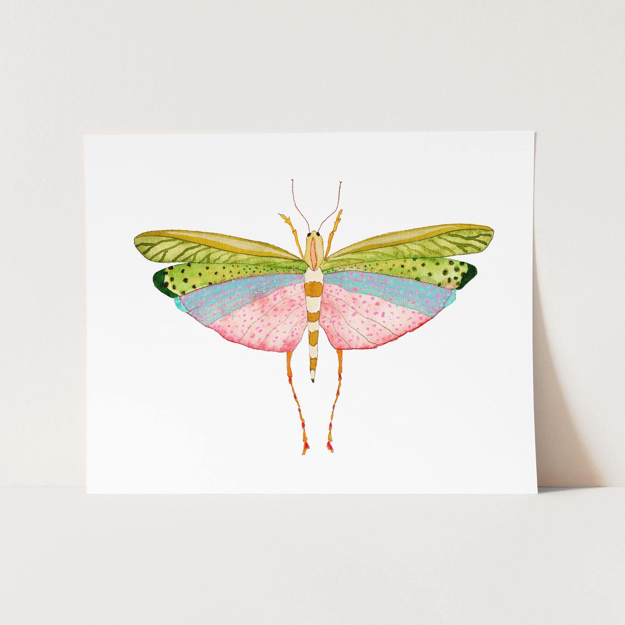 a card with a pink and green butterfly on it